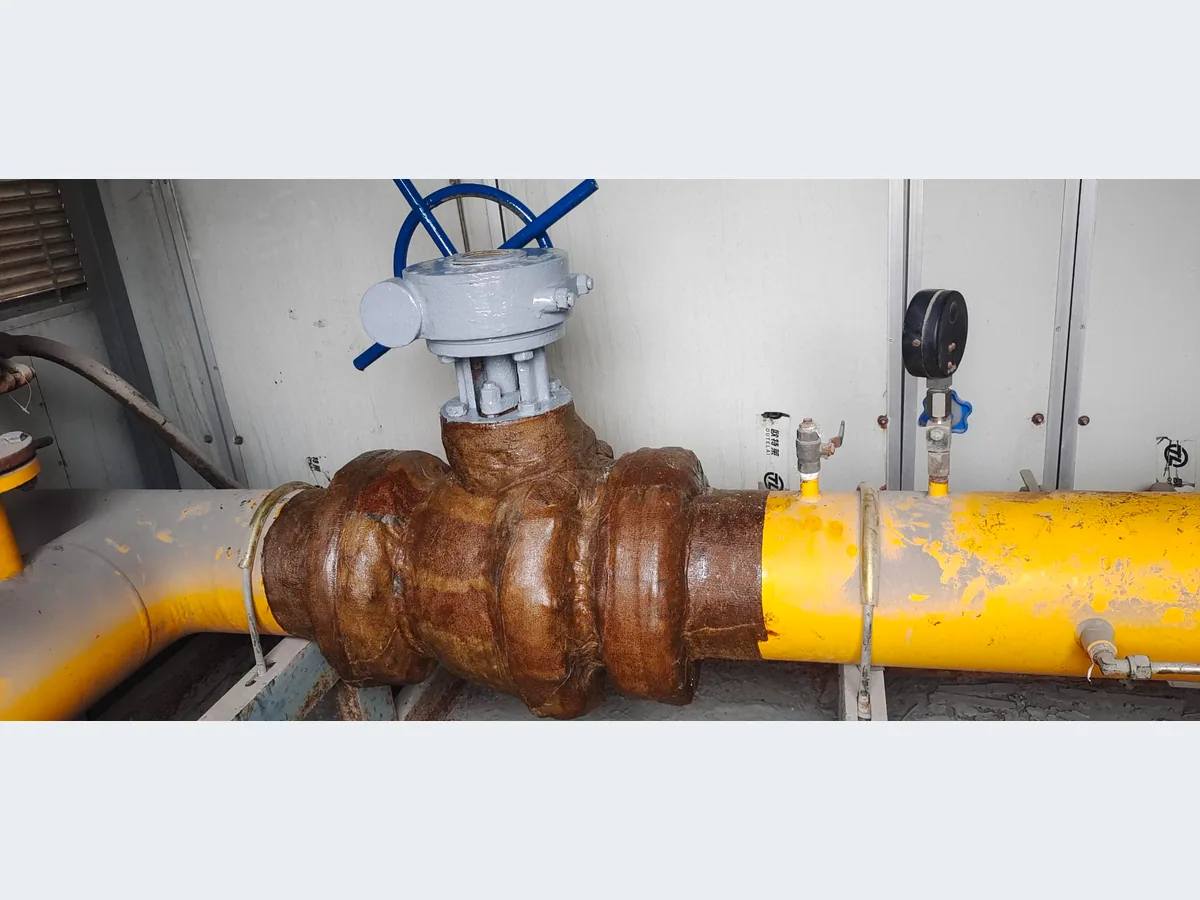 Valve & Flange Protection application